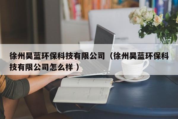 徐州昊藍環(huán)?？萍加邢薰荆ㄐ熘蓐凰{環(huán)保科技有限公司怎么樣 ）