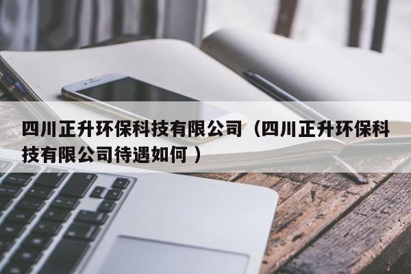 四川正升環(huán)保科技有限公司（四川正升環(huán)?？萍加邢薰敬鋈绾?）