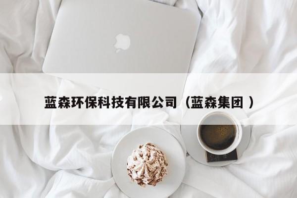 藍(lán)森環(huán)保科技有限公司（藍(lán)森集團 ）