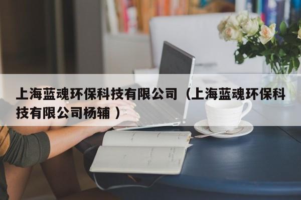 上海藍魂環(huán)保科技有限公司（上海藍魂環(huán)保科技有限公司楊輔 ）